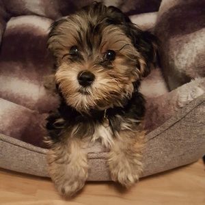 Meet your Posher, Kari